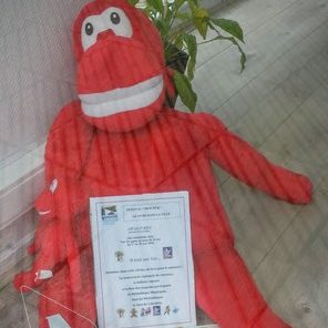 livre dans la ville roman littérature jeunesse - opalivres