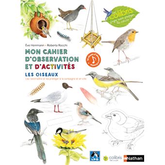 Les oiseaux Opalivres littérature jeunesse