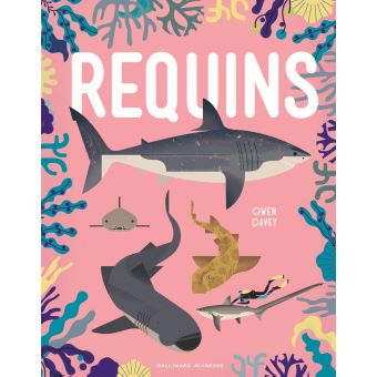 Requins - Opalivres – Littérature jeunesse