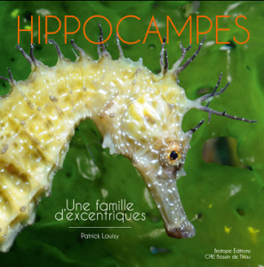 hippocampes - Nausicaà - Opalivres - Littérature Jeunesse