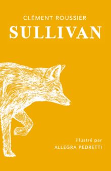 Sullivan et les ciels de feu Opalivres - Littérature jeunesse