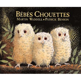 Bébés chouettes - Opalivres – Littérature jeunesse