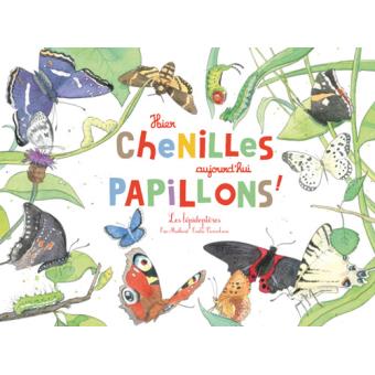 Hier chenilles, aujourd'hui papillon - Opalivres – Littérature jeunesses