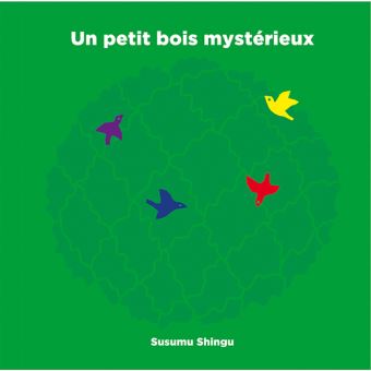 Un petit bois mystérieux - Opalivres – Littérature jeunesse