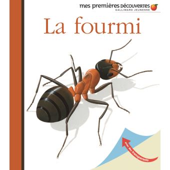 La fourmi - Opalivres – Littérature jeunesse