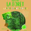 Dans la forêt Opalivres - Littérature jeunesse