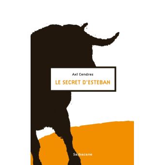 Le secret d'Esteban - Opalivres – Littérature jeunesse