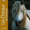 Les chevaux de Camargue - Opalivres – Littérature jeunesse