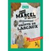 Quand Marcel et ses amis découvrirent la grotte de Lascaux - Opalivres – Littérature jeunesse