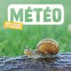Météo Imagier des animauxOpalivres-Littérature jeunesse
