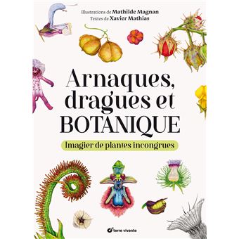 Arnaques-dragues-et-botanique-Opalivres-Littérature jeunesse
