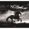 Noir, une histoire dans la nuit-Opalivres-Littérature jeunesse