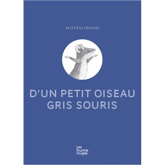 D-un-petit-oiseau-gris-souris-Opalivres-Littérature Jeunesse