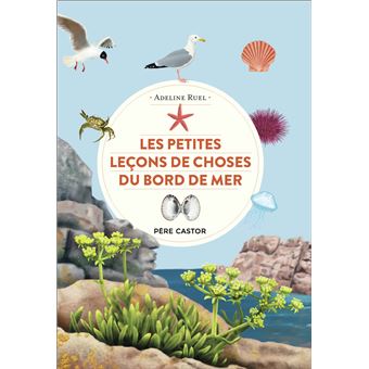 Les petites leçons de choses du bord de mer -Opalivres-Littérature jeunesse