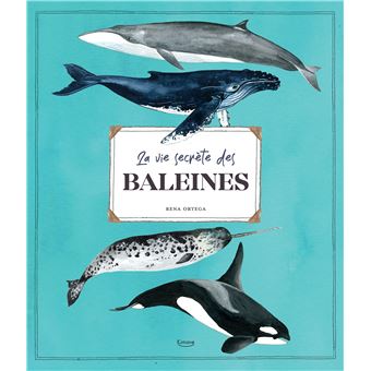 La vie secrete des baleines -Opalivres-Littérature jeunesse