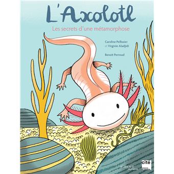 L’axolotl, les secrets d’une métamorphose-Opalivres-Littérature jeunesse