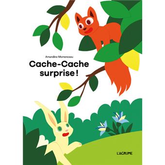 Cache-Cache surprise -Opalivres-Littérature jeunesse