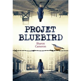 Projet-Bluebird-opalivres-littérature jeunesse