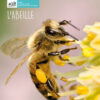 l'abeille-opalivres-littérature jeunesse