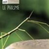 le phasme-opalivres-littérature jeunesse