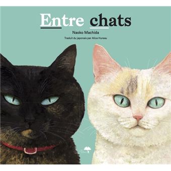 Entre-chats-opalivres-littérature jeunesse