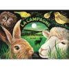 La campagne, une nuit -Opalivres-Littérature jeunesse