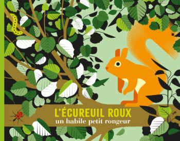 L'écureuil roux. un habile petit rongeur-Opalivres-littérature jeunesse
