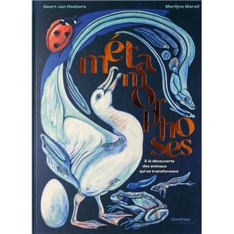 Metamorphoses-A-la-decouverte-des-animaux-qui-se-transforment-Opalivres-littérature jeunesse