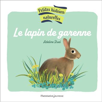 Le-lapin-de-garenne-Opalivres-littérature jeunesse